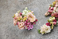 Lisianthus Voyage Live Plant – Eustoma grandiflorum Flowering Plant for Garden Beds & Containers