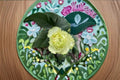 Wasabi Rose Live Plant – Green Cut Rose – Ornamental Modern Bloom – Rosa hybrid for Garden, Patio & Floral Arrangements