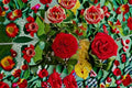 Red Semi-Climbing Rose Plant – Own Root Live Rose Bush with Velvety Crimson Blooms – Rosa hybrid