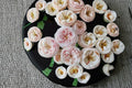 Mansfield Park Rose Live Plant – Lotus Pink Cut Rose – Own Root, Reblooms, Garden & Patio Rose, Rosa hybrid