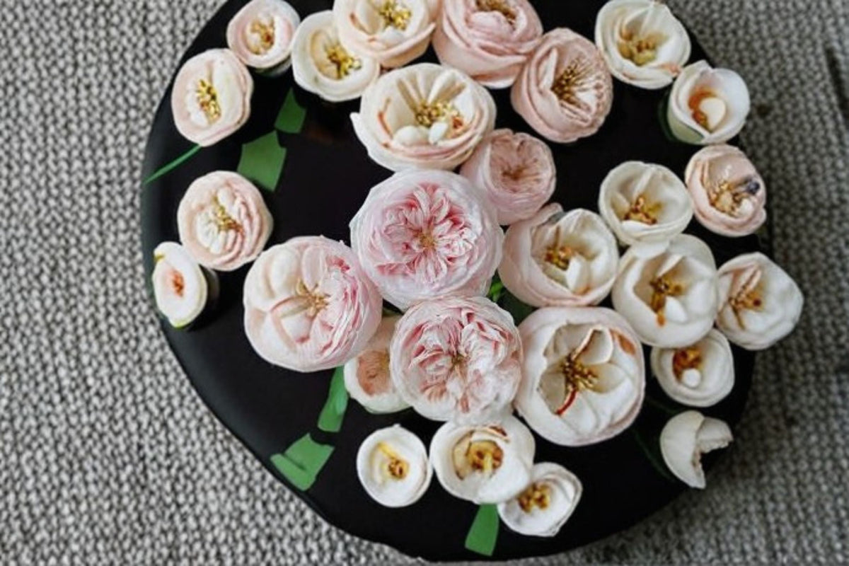 Mansfield Park Rose Live Plant – Lotus Pink Cut Rose – Own Root, Reblooms, Garden & Patio Rose, Rosa hybrid