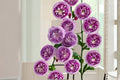 Blue Moon Stone Rose Live Plant – Fragrant Japanese Garden Rose, Repeat Blooming Shrub, Lavender-Blue Flowers, Rosa hybrid