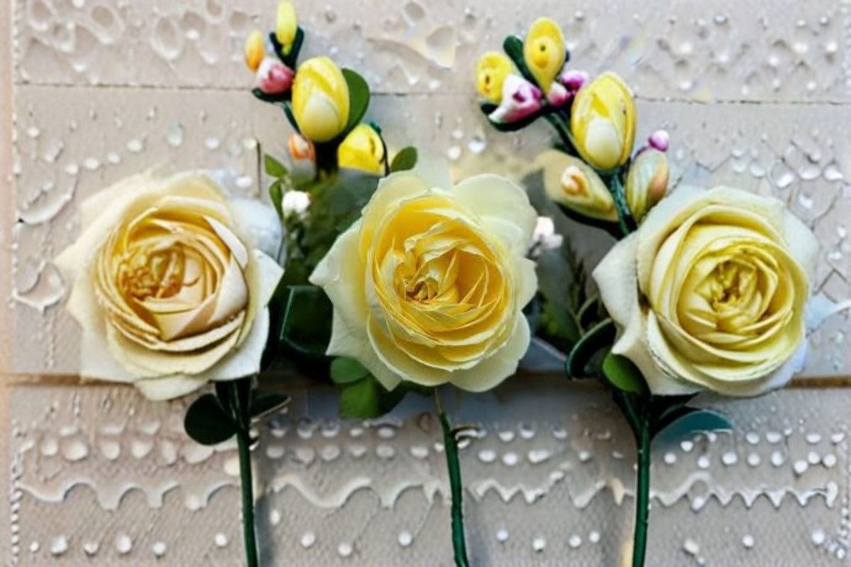 Fragrant Cream Yellow Shrub Rose Live Plant – North Fragrance Rosa hybrid for Garden Beds & Containers