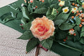 Polka Climbing Rose Live Plant 1.5 Gal Apricot Peach Fragrant Own-Root Rose for Trellises & Arbors