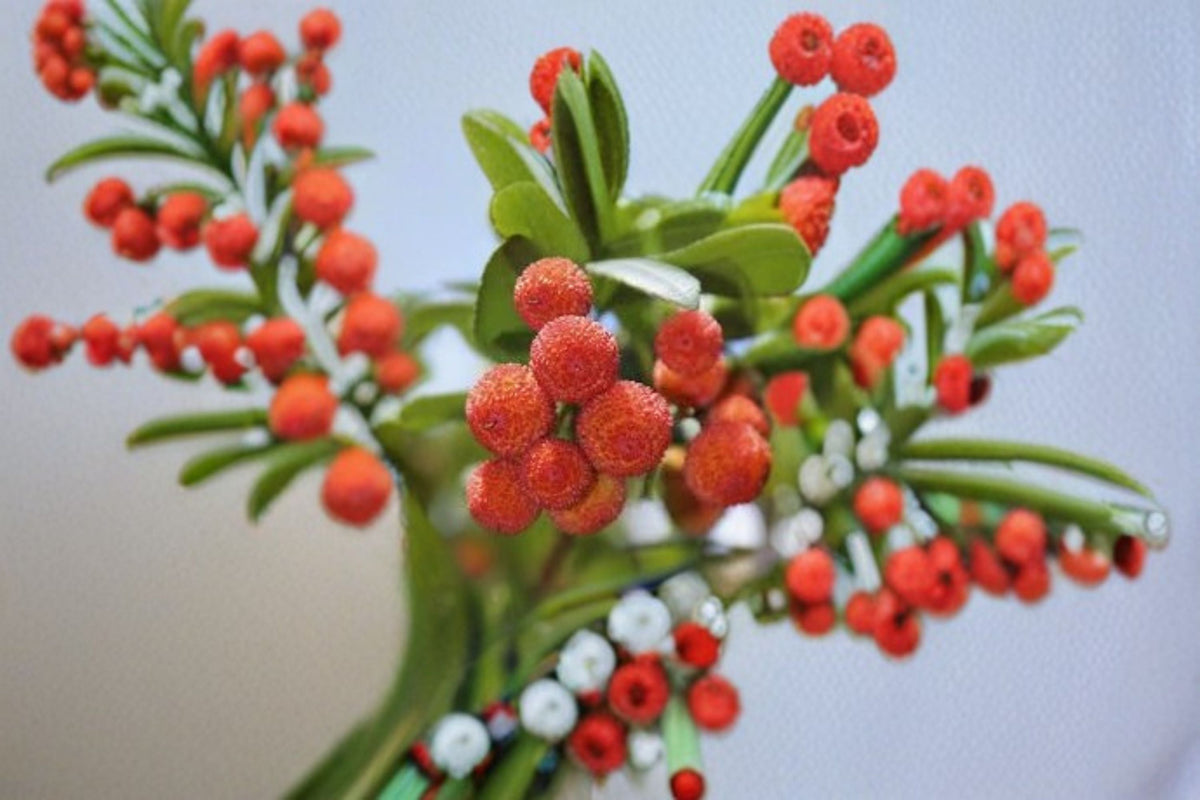 Strawberry Tree Live Plant – Arbutus unedo – Evergreen Ornamental & Edible Fruit Tree for Gardens & Landscapes
