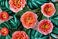Candy Antike Rose Live Plant – Antique Garden Rose with Multi-Toned Yellow Pink Blooms, Fragrant, Ornamental Rose, Rosa 'Candy Antike'