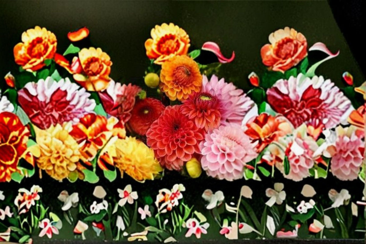 Dahlia Pinnata Live Plant – Vibrant Flowering Garden Border & Cut Flower, Full Sun, Well-Drained Soil