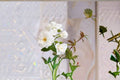 Iceberg Rose Live Plant – 1.5 Gal Floribunda White Rose Rosa 'Iceberg' for Garden & Containers