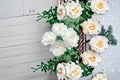 Live Princess Tenko Rose Plant – Pink White Double Blooms, Repeat Flowering, Japanese Garden Rose, Rosa hybrid