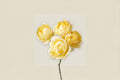 Yellow Peony-Style Lemon Julieta Rose Live Plant, Compact Garden Rose, Rosa hybrid, Repeated Blooming, Container & Border Plant
