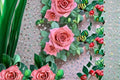 Barista Rose Live Plant – Fragrant Repeat Blooming Rosa Hybrid for Garden, Patio & Floral Arrangements