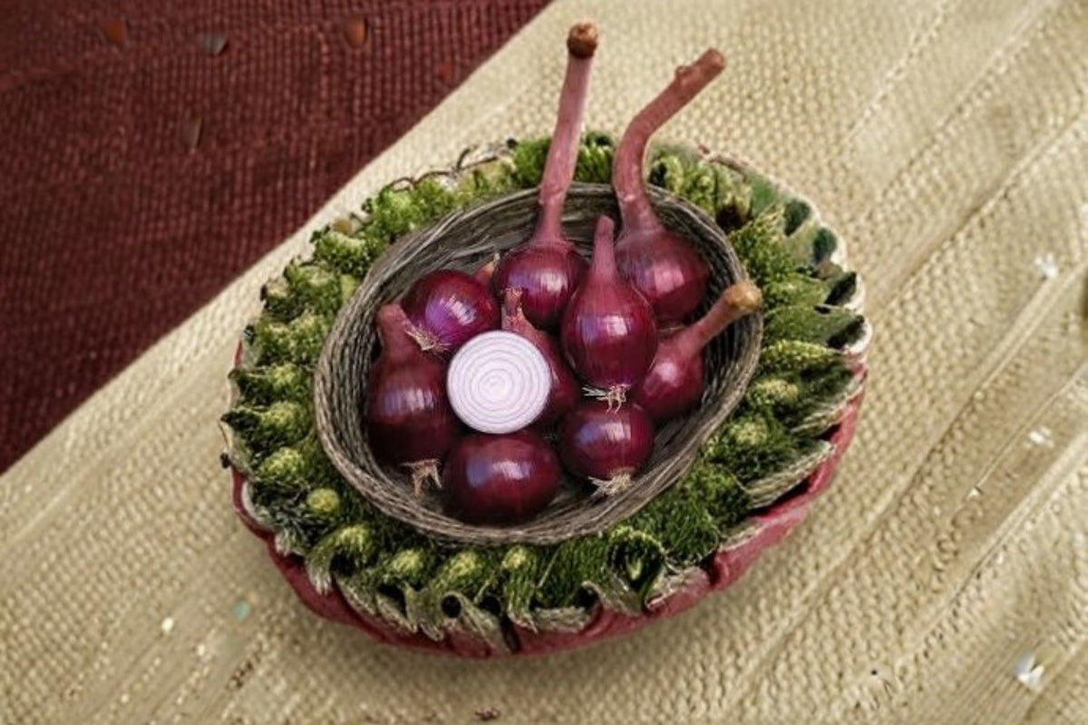 Red Baron Onion Sets 1Lb Non-GMO Allium cepa Vegetable Bulbs for Garden, Raised Beds & Food Production