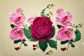Live Red Velvety Rose Plant – Janice Kellogg French Shrub Rose Rosa hybrid for Garden, Patio & Balcony