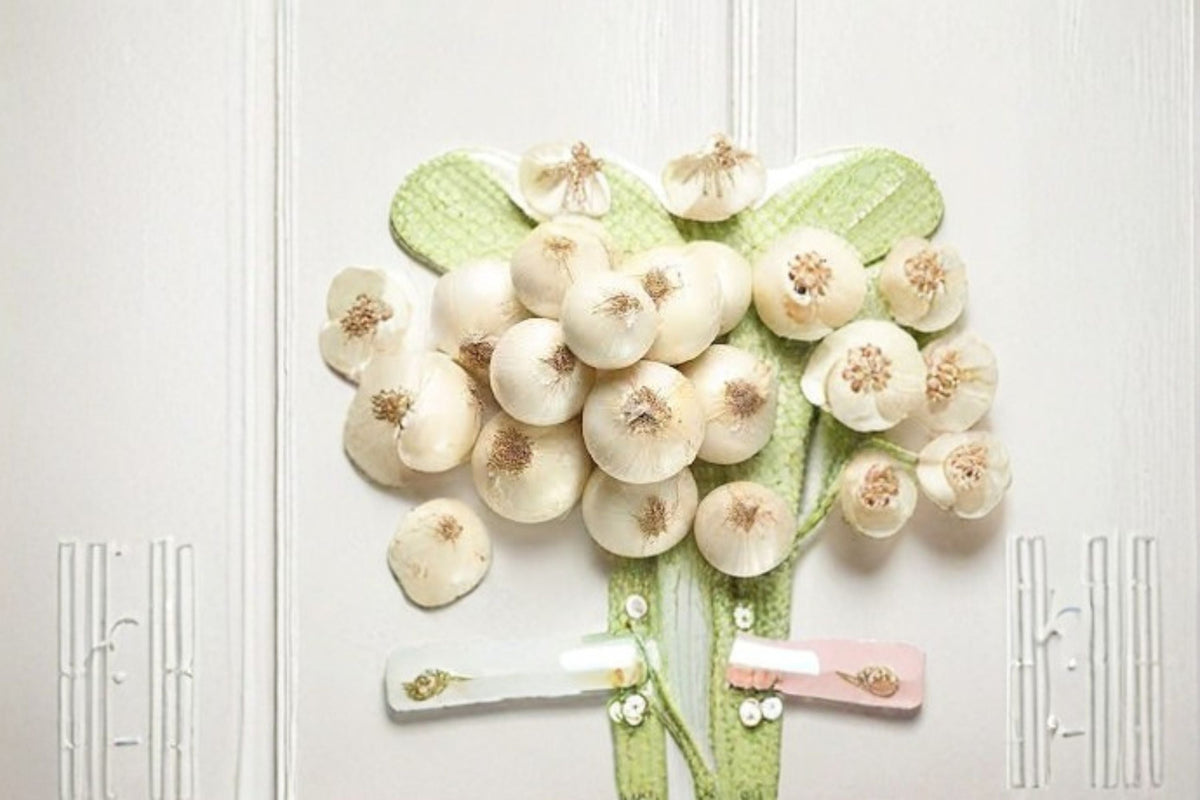 White Ebenezer Onion Sets – Non-GMO Allium cepa Bulbs for Vegetable Gardens & Edible Landscapes