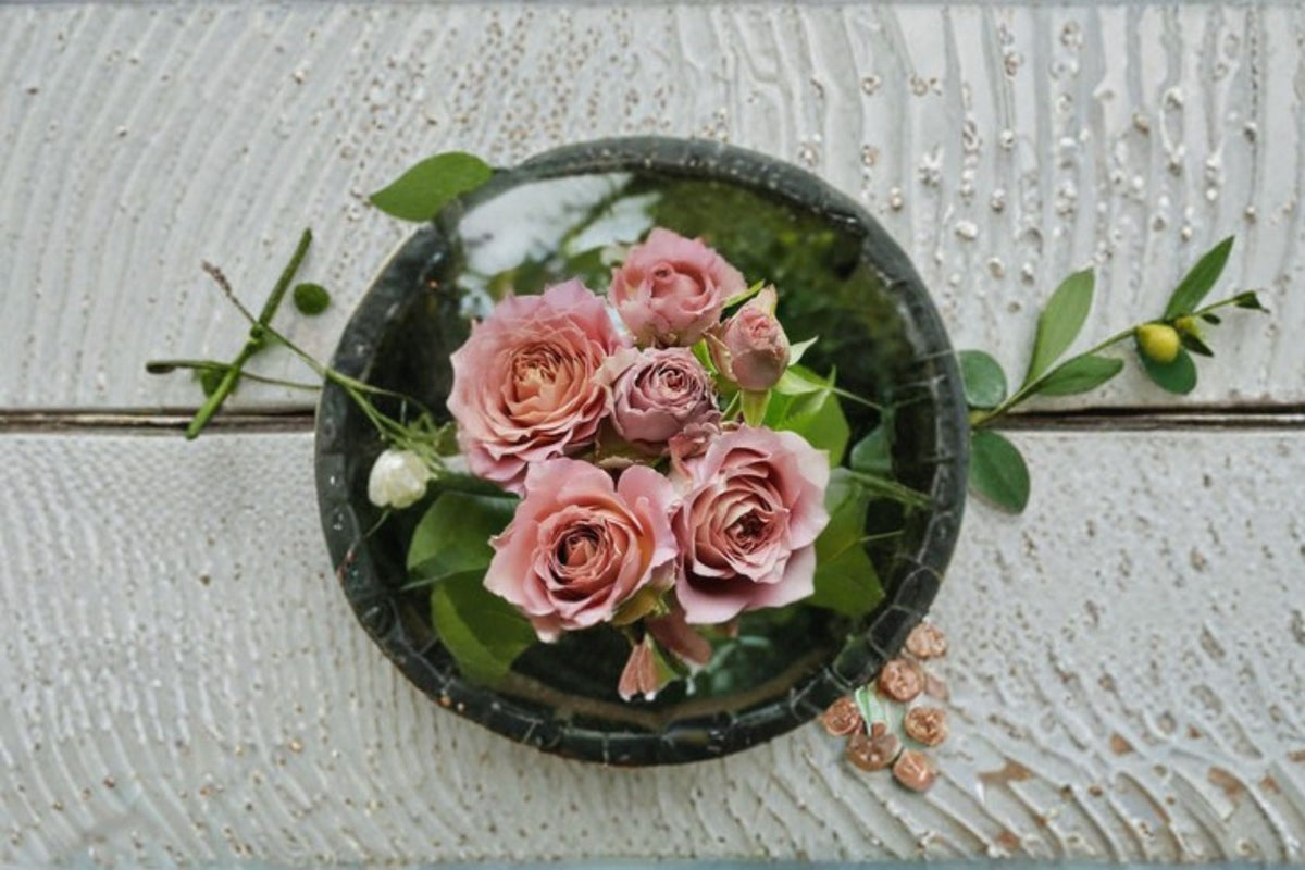 Nachuru Rose Live Plant – Fragrant Japanese Shrub Rose with Repeat Blooms, 6–8 cm Flowers, Rosa hybrid