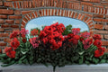 Ruby Thunderstruck Crape Myrtle Live Plant – Red Flowering Tree with Dark Foliage – Lagerstroemia hybrid