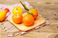 Navel Orange Scions Citrus sinensis Fruit Tree Grafting Propagation Plant