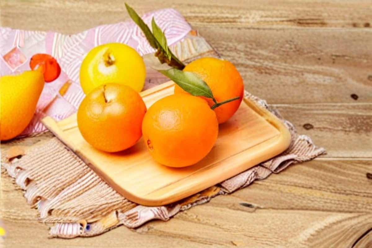 Navel Orange Scions Citrus sinensis Fruit Tree Grafting Propagation Plant