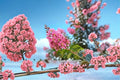Sioux Crape Myrtle Live Plant – Pink Flowering Shrub for Garden, Landscape & Hedges – Lagerstroemia indica 'Sioux'
