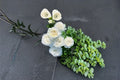 Roads of Wedding White Rose Live Plant – Fragrant Ornamental Own Root Rose, Repeat Blooming Garden & Patio Rosa hybrid