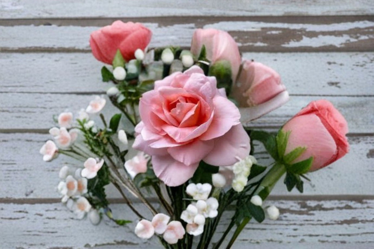Climbing Rose Live Plant – Salmon Pink Fragrant Rose – Dames de Chenonceau Rosa Hybrid for Garden, Trellises & Arches