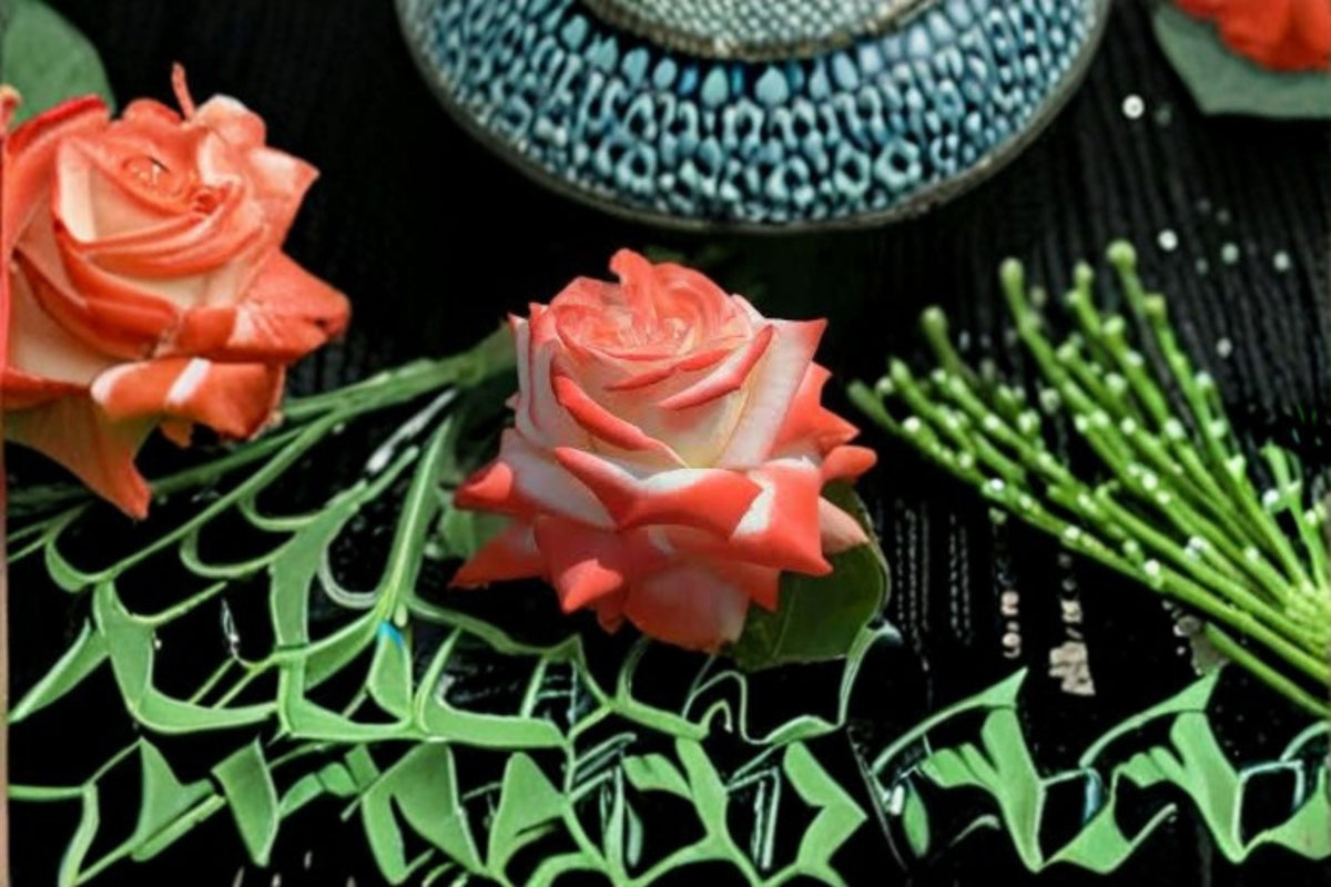 Impératrice Farah Rose Live Plant – Upright Hybrid Tea Rose – Red and White Flowers – Rosa Hybrid