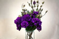 Lisianthus Live Plant – Eustoma grandiflorum with Rose-Like Blooms for Garden Beds & Containers