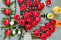 Garden Princess Marie-José Rose Live Plant – Compact Cherry Pink Fragrant Rosette Rose Rosa hybrid for Garden Beds & Containers