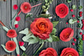 Coffee Break Rose Live Plant – Own Root Floral Rose with Caramel Orange Blooms – Rosa hybrid