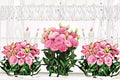 Lisianthus Rosita Live Plant – Eustoma grandiflorum Flowering Plant for Garden Beds & Containers