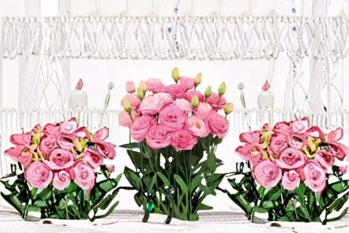 Lisianthus Rosita Live Plant – Eustoma grandiflorum Flowering Plant for Garden Beds & Containers