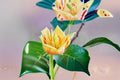 Tulip Tree Live Plant – Liriodendron tulipifera Deciduous Shade Tree for Landscape and Garden