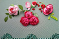 Autumn Rouge Rose Live Plant – Fragrant Heat Tolerant Shrub Rose Rosa Hybrid for Garden, Patio & Borders