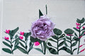 Antique Watch Rose Live Plant – Fragrant Japanese Own Root Shrub Rose – Repeat Blooming Garden Rose, 6-8 cm blooms, Ornamental, Easy to Grow