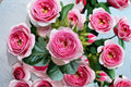 Pink Fragrant Garden Rose Shrub - Mon Coeur Own Root Rosa hybrid for Landscaping, Ornamental Gardens