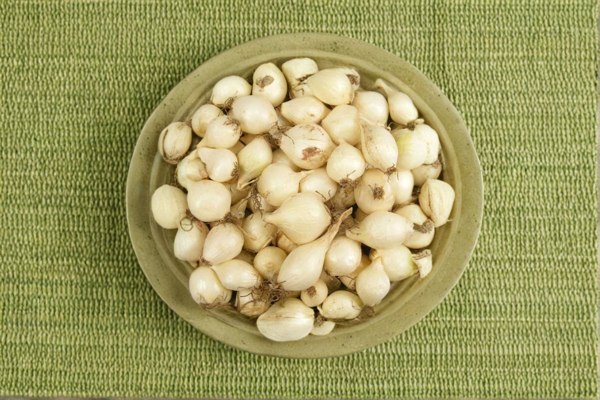 White Ebenezer Onion Bulbs – Non-GMO Allium cepa Starter Sets for Vegetable Gardens & Edible Landscapes