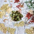 Hardy Kiwi Vine Female Actinidia arguta | Large Edible Sweet Fruit | Cold-Hardy Climbing Plant for Zones 4-9