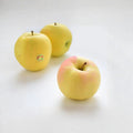 Japanese Aomori Toki Apple Tree – Bare Root, Grafted on M7 Rootstock, Sweet Peachy Flavor, Malus domestica