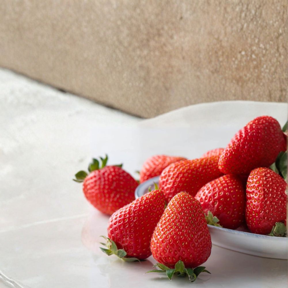 Bare Root Kaorino Japanese Strawberry Plants – Fragaria × ananassa, Premium Sweet Aromatic Fruit Set of 5