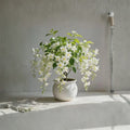 Weeping Jasmine Seeds – Climbing Fragrant Flowering Vine for Garden & Balcony | Jasminum spp.