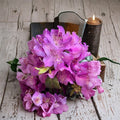 Rhododendron ‘Florence Parks’ Evergreen Shrub with Purple Spring Blooms – 12–15 Inch Field-Grown Plant, Hardy in Zones 4–8