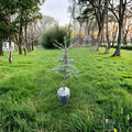 Atlas Cedar Live Plant 18 Inch Tall Evergreen Conifer Cedrus atlantica Compact Landscape Tree