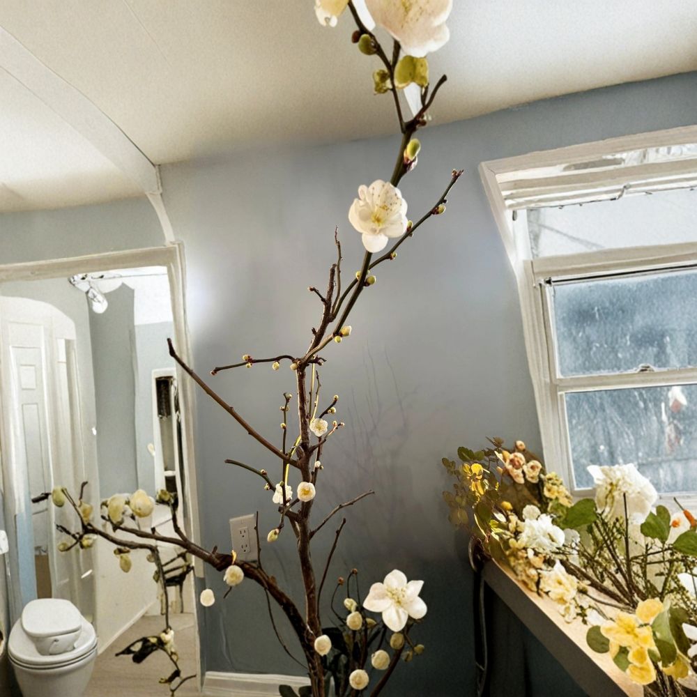 Ryūyū-bai Japanese Apricot Live Pre-Bonsai Sapling | Bare Root with Heart Soil | Twisted Branch Plum Tree | Winter Blooming White Flowers