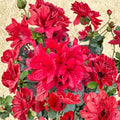 Azalea ‘Hino Sunrise’ Live Plant – Bright Orange Spring Blooms, Compact Semi-Evergreen Shrub for Gardens & Containers