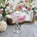 Rhododendron ‘Pink Snowflakes’ Live Evergreen Shrub, Pastel Pink Blooms, Cold Hardy Flowering Plant, #2 Container Grown