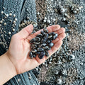 Heirloom Native American Bean Seeds – Organic Skunk Bean, Climbing, Trellis-Friendly, Phaseolus vulgaris, Heirloom Seeds