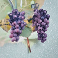 Champanel Grape Vine 2 Gallon Live Plant | Sweet Red & Black Grapes | Climbing Fruit Vine for Vineyard & Garden | Vitis 'Champanel'