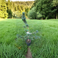 Aizu Goyo Japanese White Pine Live Evergreen Conifer 18 Inch in 1 Gallon Pot Pinus parviflora