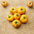 Azoychka Tomato Seeds – Organic Russian Yellow Heirloom Beefsteak Solanum lycopersicum, 50 Seeds for Garden & Container Growing