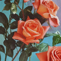 Shreveport Hybrid Tea Rose Live Plant 1 Gallon Orange Blooms Garden & Landscape Rosa Hybrid Tea